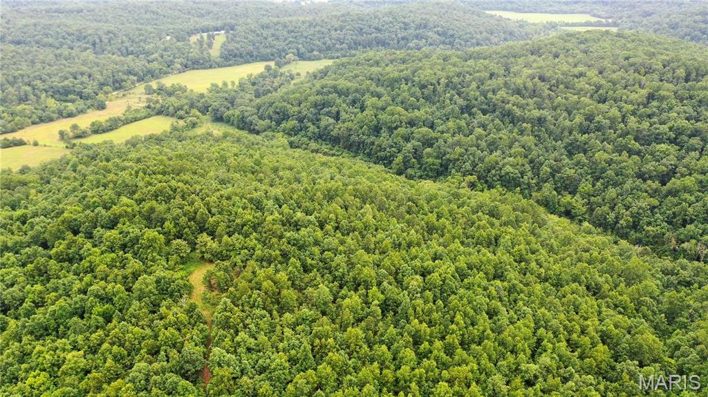 0 Tract 11 Private Lane 550 Salem Missouri home for sale listed at $60,000