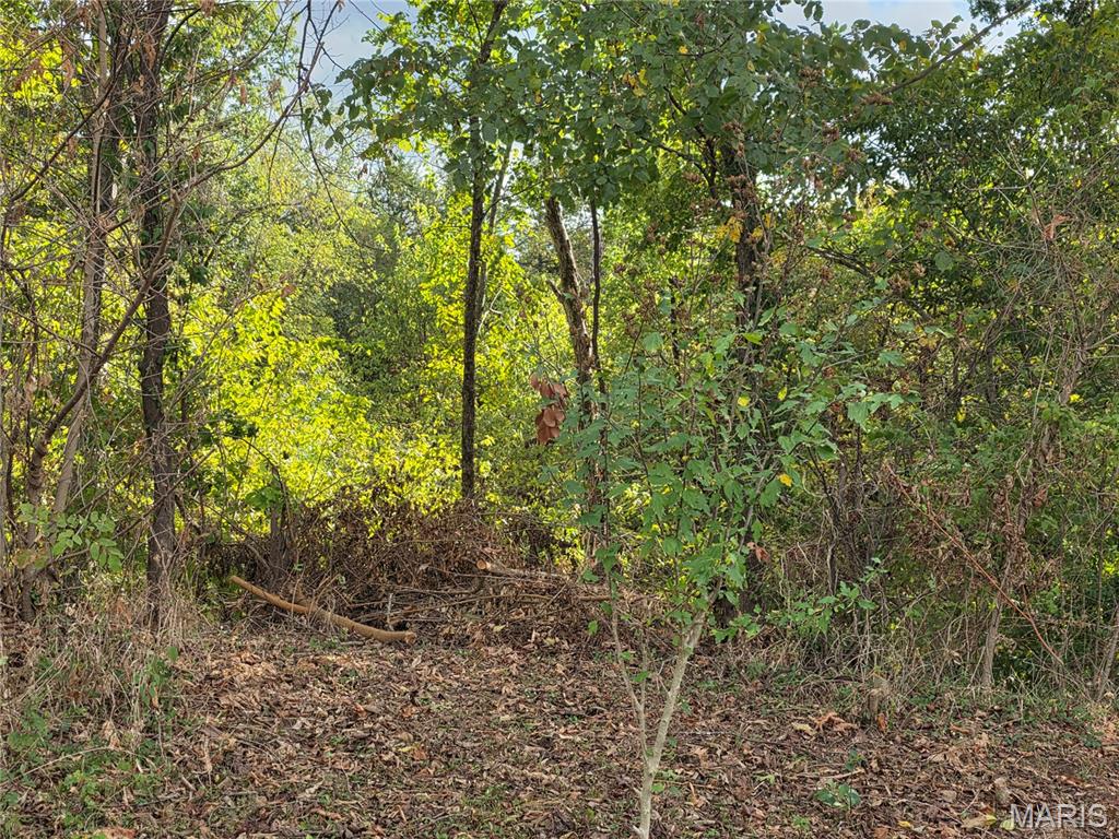 xxx Bluff Circle Waynesville Missouri home for sale listed at $5,000