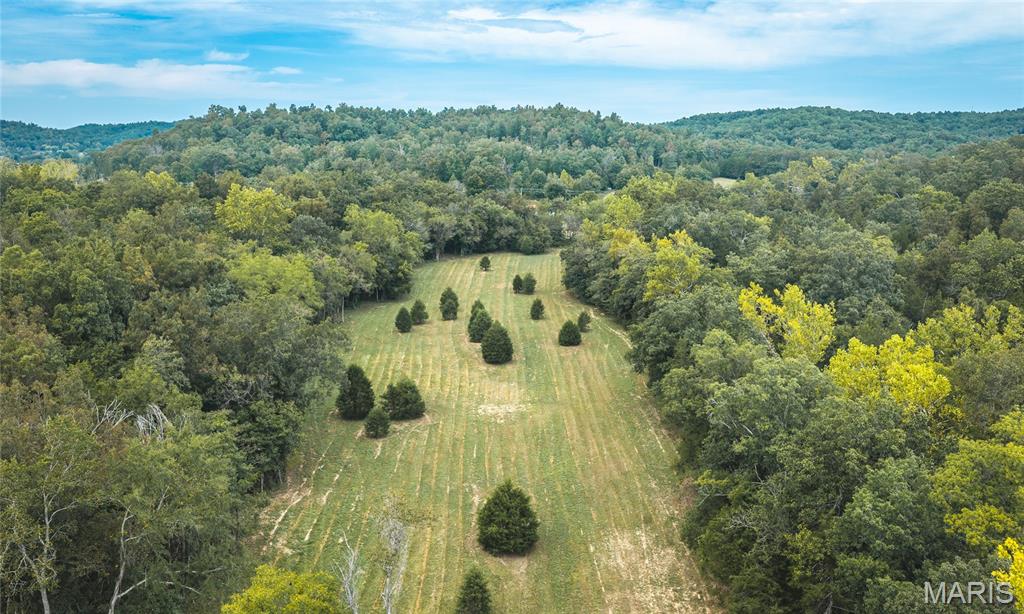 0 County Road 342 Tract 4 Lesterville Missouri home for sale listed at $114,900