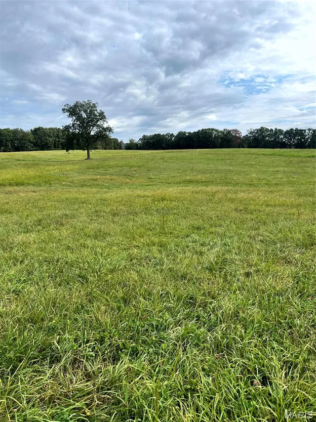 19.87 acres on Highway C, Leslie MO