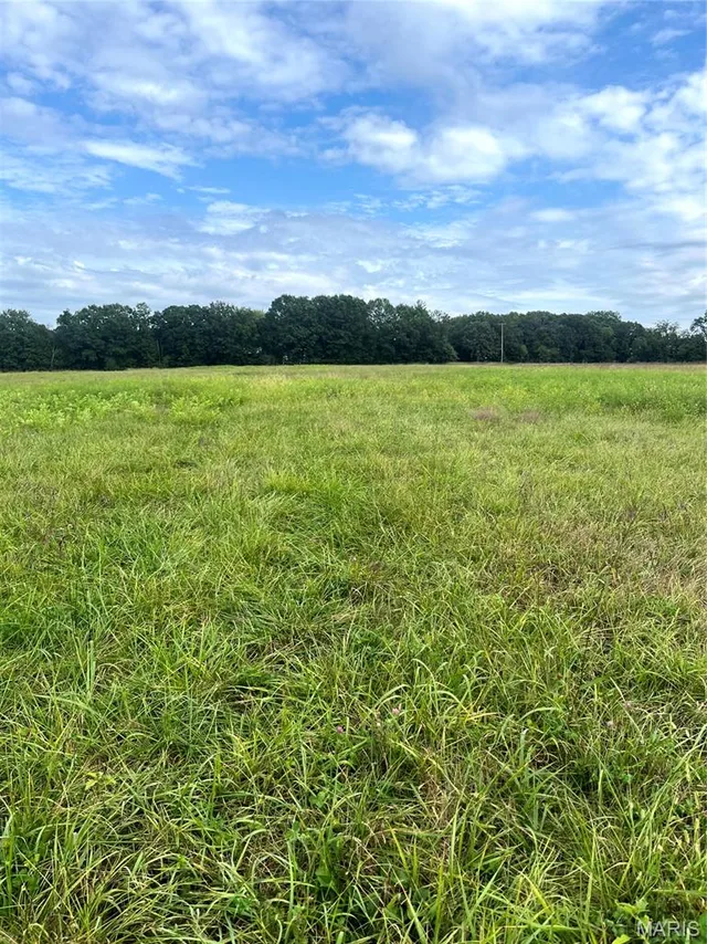 Front exterior — 19.87 acres on Highway C Leslie Missouri real estate