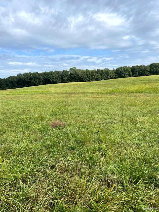 Living room — 19.87 acres on Highway C Leslie Missouri real estate