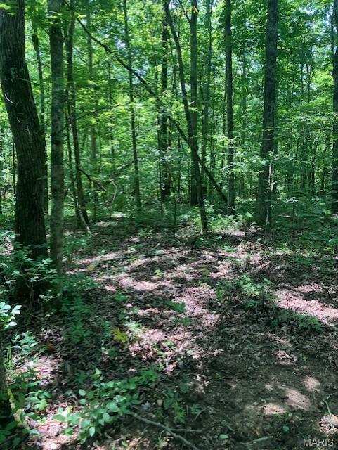 286 Madison CR 410 Fredericktown Missouri home for sale listed at $49,995