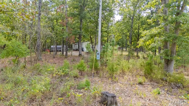 Kitchen — 0 State Route T Newburg Missouri real estate