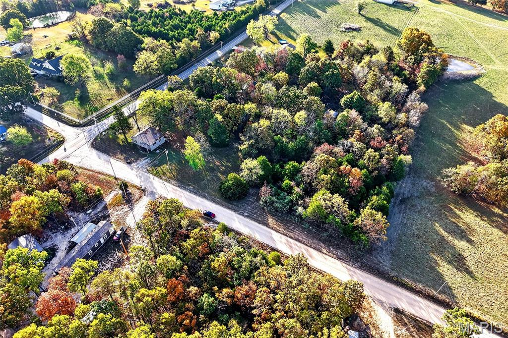 Photo 32