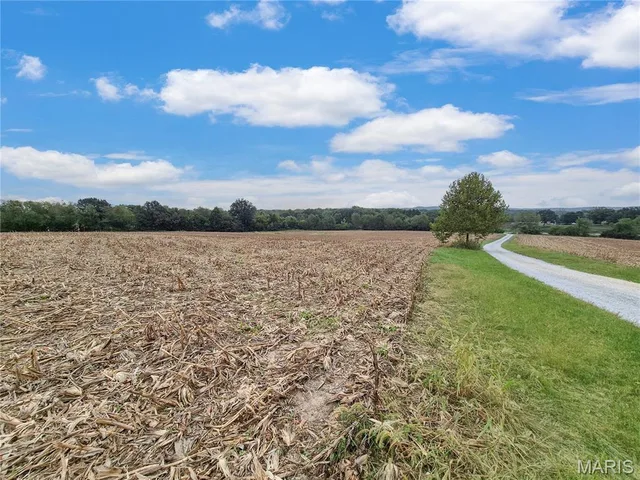 Living room — 0 Hwy B (Tract A - 10.60+/- Acres) Elsberry Missouri real estate