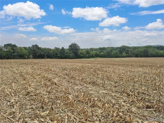 Kitchen — 0 Hwy B (Tract A - 10.60+/- Acres) Elsberry Missouri real estate
