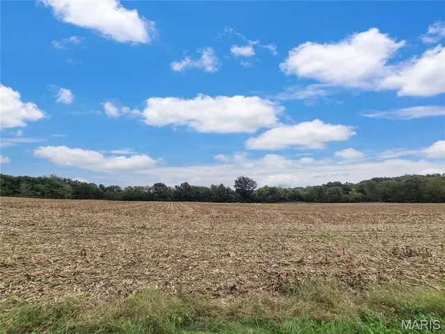 Primary bedroom — 0 Hwy B (Tract A - 10.60+/- Acres) Elsberry Missouri real estate