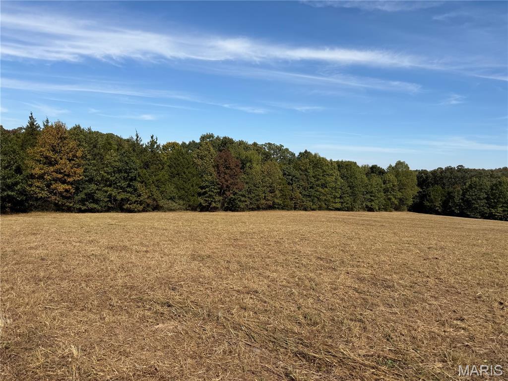 5295 State Road H De Soto Missouri home for sale listed at $299,900