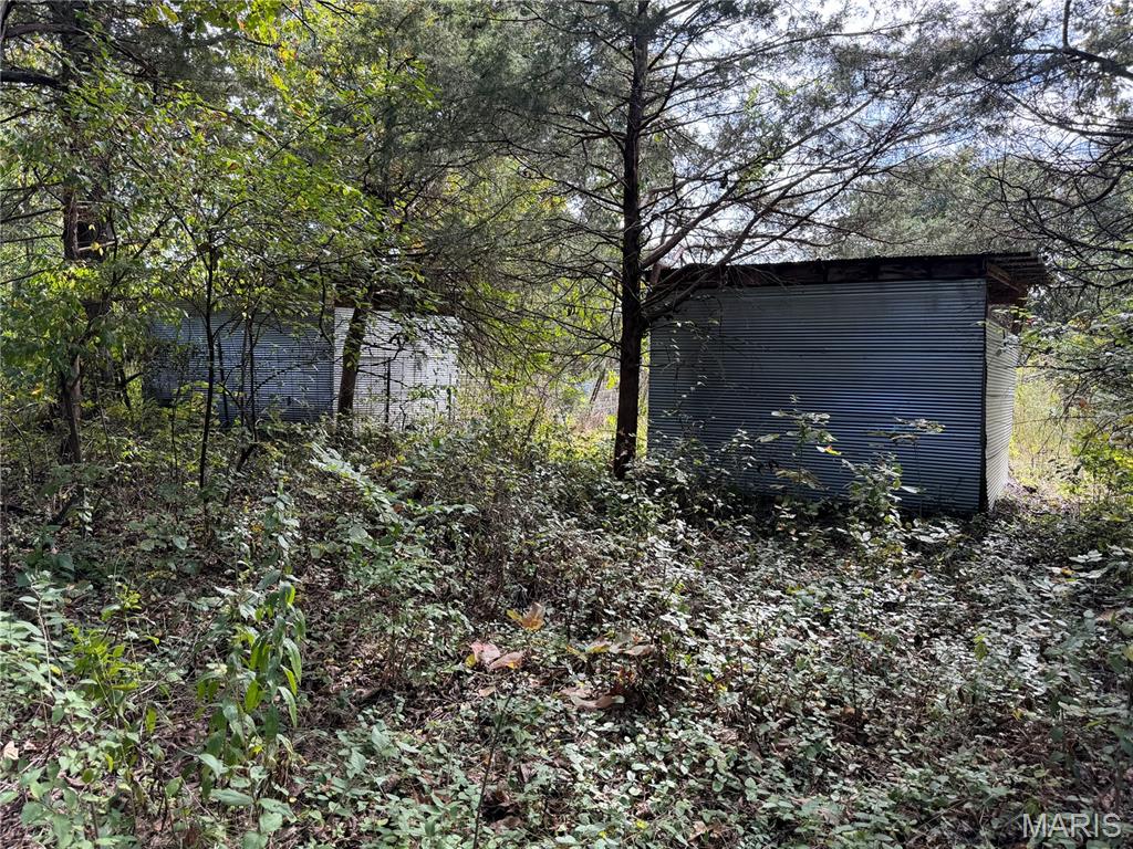 Photo 45