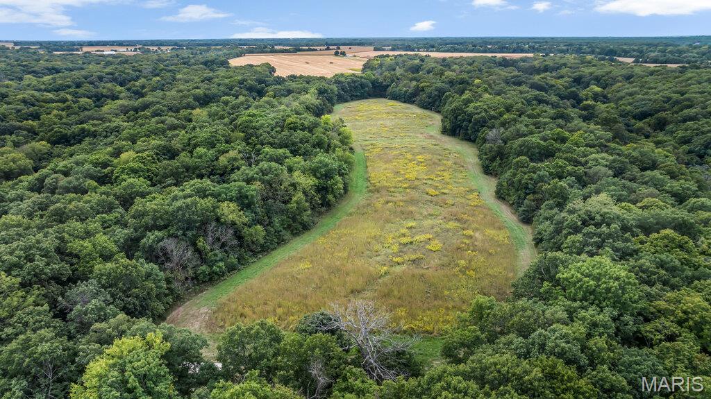 20661 Johnson Hollow Rd Center Missouri home for sale listed at $782,736