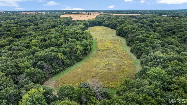 20661 Johnson Hollow Rd, Center MO real estate