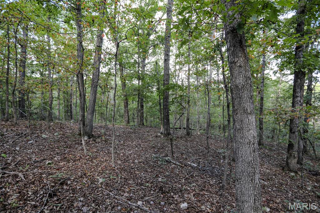 0 County Road 505 Greenville Missouri home for sale listed at $709,000