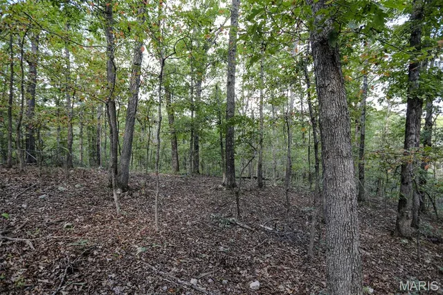 0 County Road 505, Greenville MO