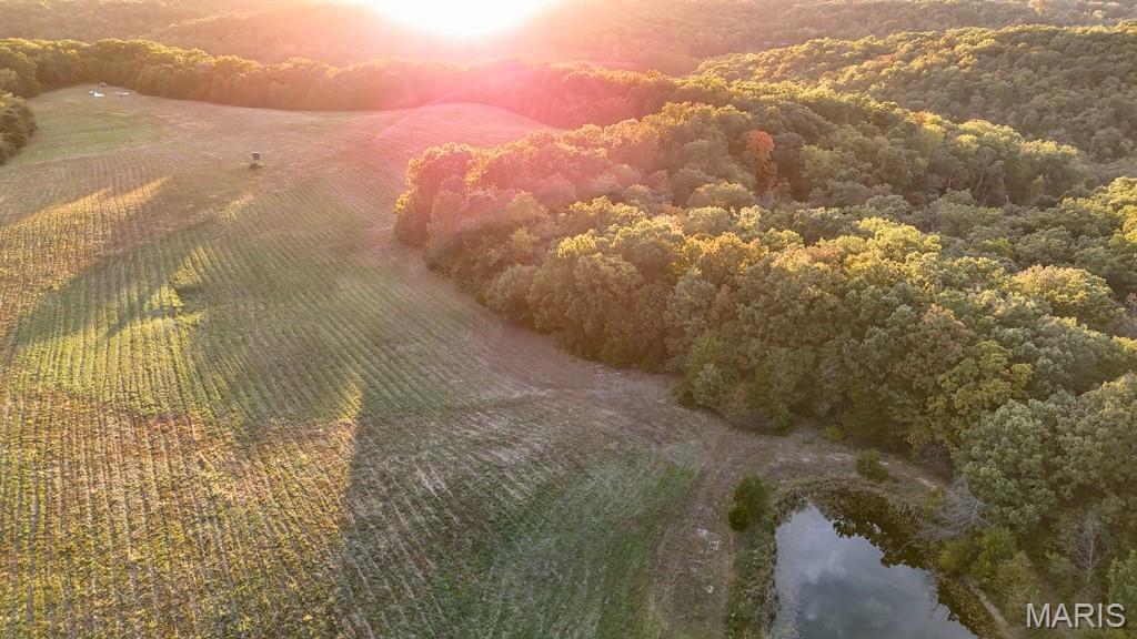 00 County Road 437 Fulton Missouri home for sale listed at $399,500