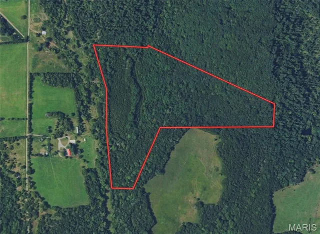 10272 Old Black River Road, Belgrade MO real estate