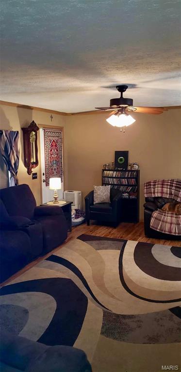 Primary bedroom — 13990 Elm Drive Plato Missouri real estate