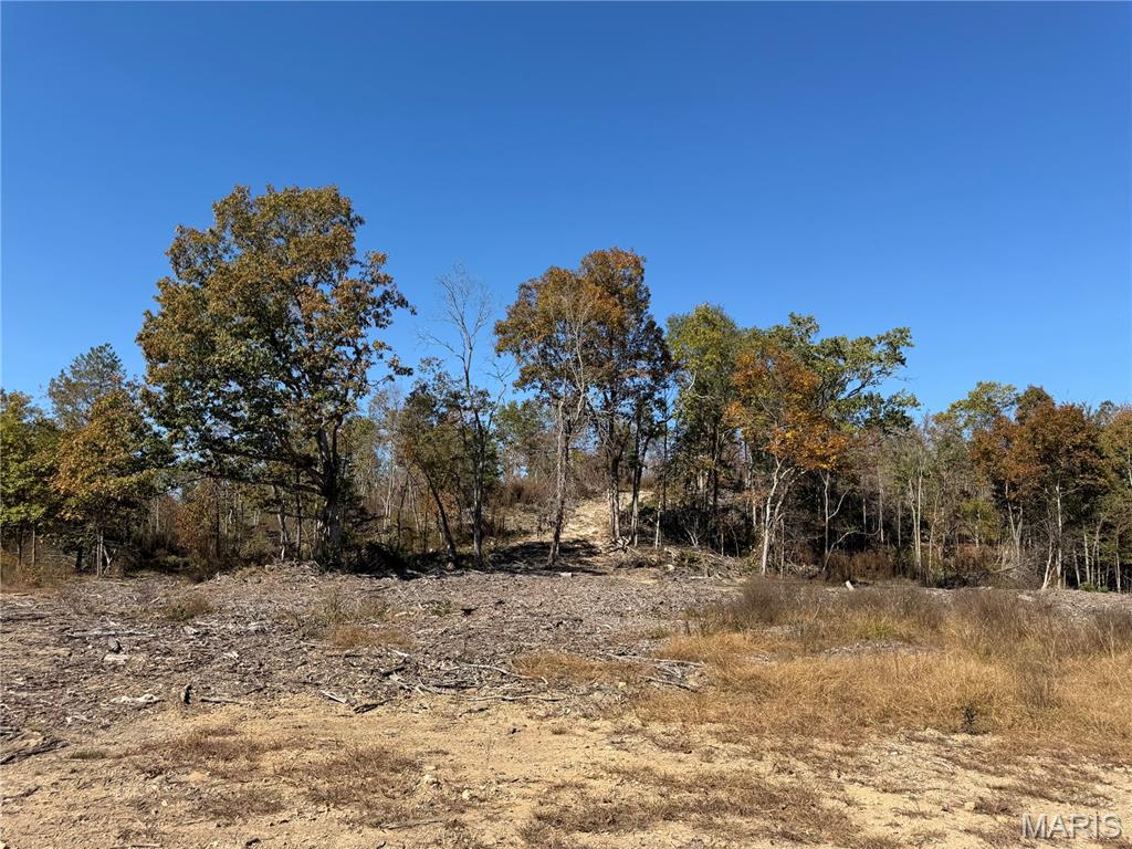 Tract 3A Sulphur Creek Annapolis Missouri home for sale listed at $72,500