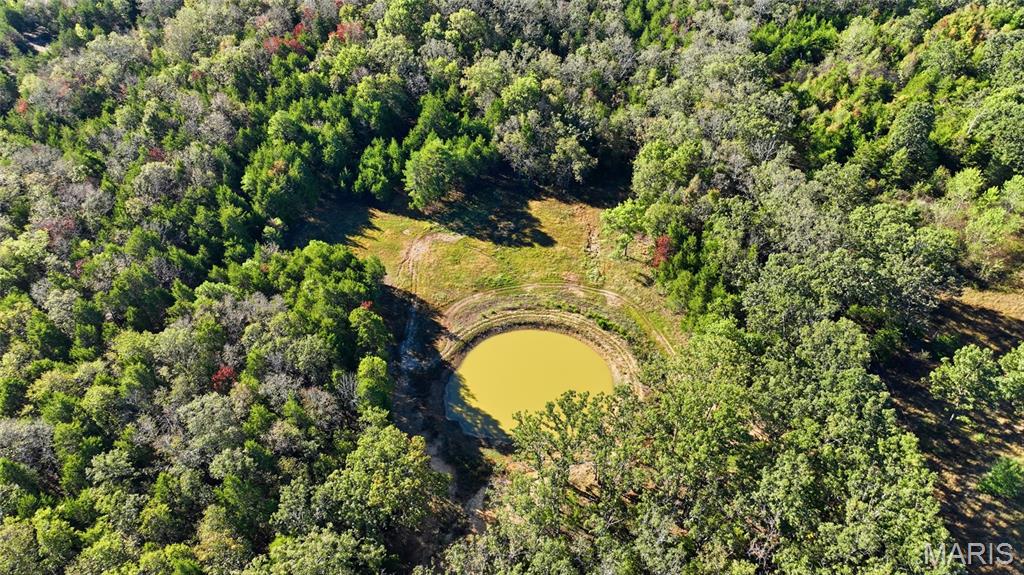Photo 34
