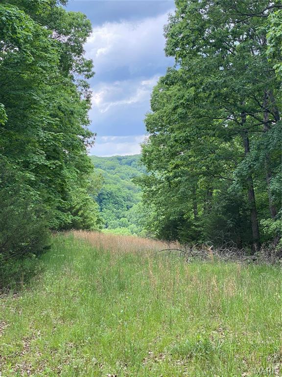 14 +/- AC Steeple Rock Drive, Defiance MO real estate
