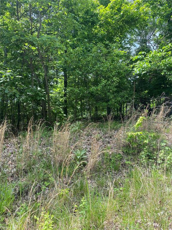 Living room — 14 +/- AC Steeple Rock Drive Defiance Missouri real estate
