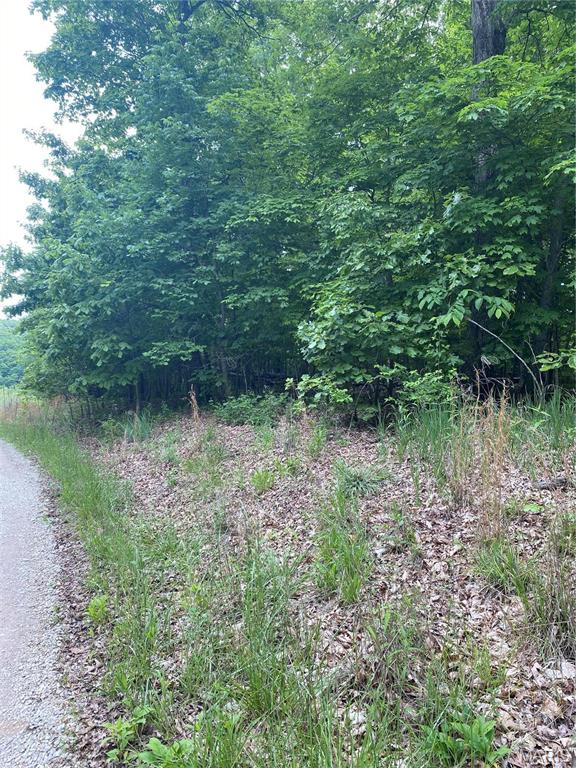 Kitchen — 14 +/- AC Steeple Rock Drive Defiance Missouri real estate