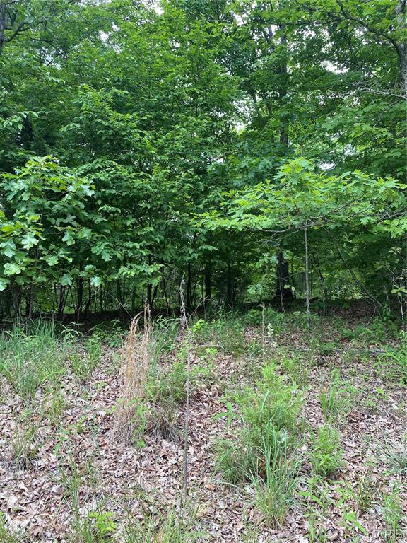 Primary bedroom — 14 +/- AC Steeple Rock Drive Defiance Missouri real estate