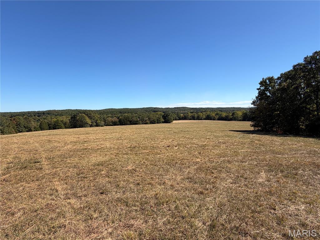 0 State Hwy P Potosi Missouri home for sale listed at $695,000