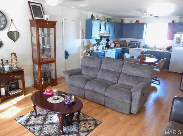 Living room — 1503 W Springfield Street St James Missouri real estate