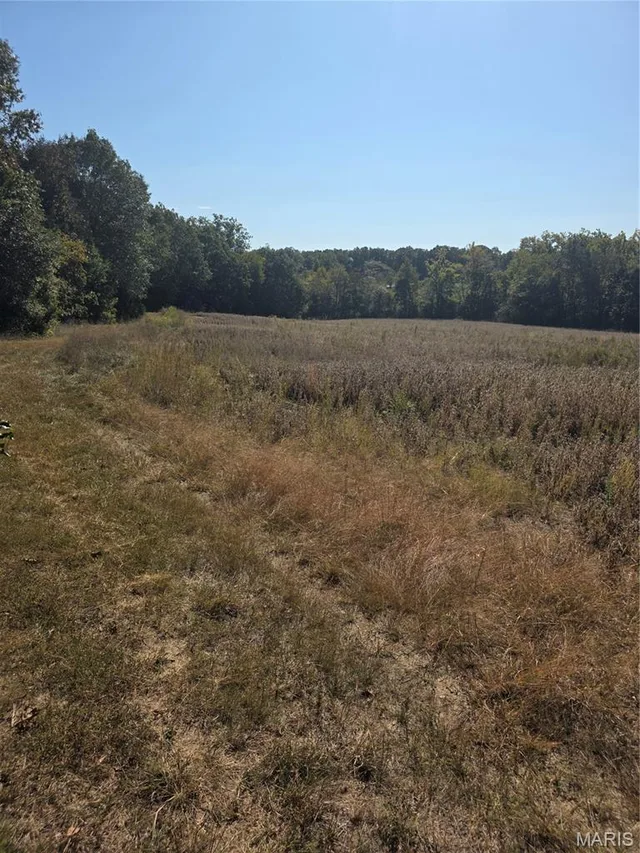 0 Birch Creek Farm Loop, Leslie MO real estate