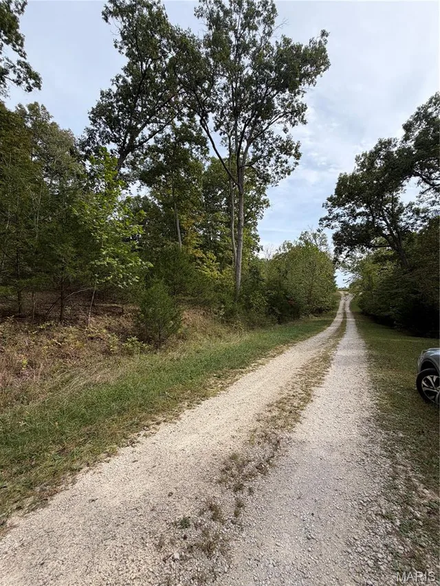 0 Allen Road, Hillsboro MO real estate