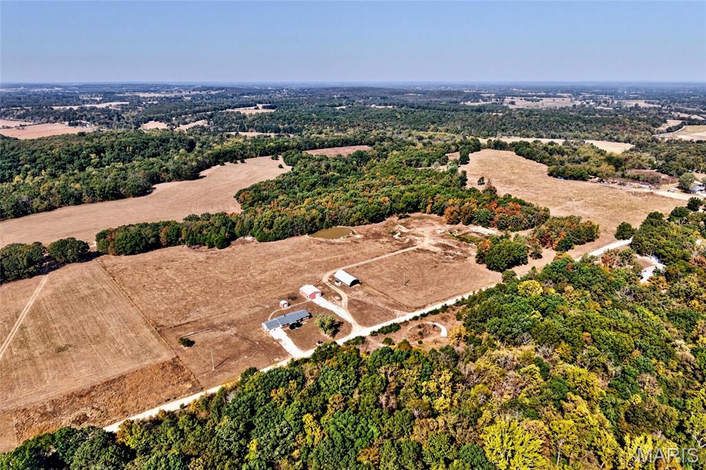 Photo 60