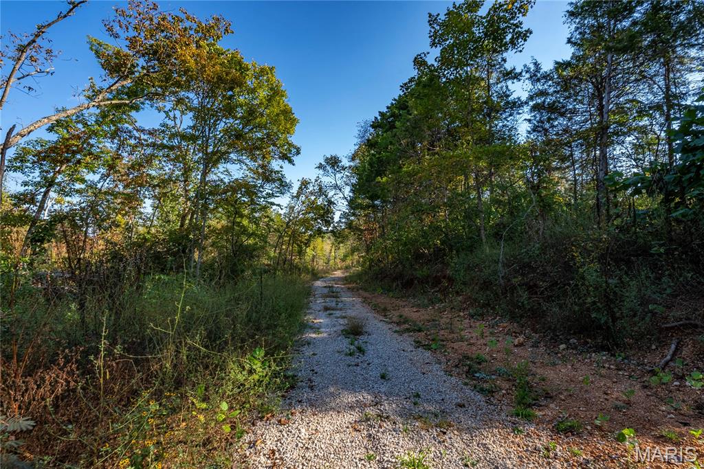 Photo 36