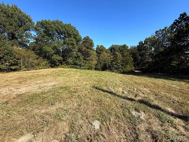 Primary bedroom — 00 Highway Y Road Foley Missouri real estate