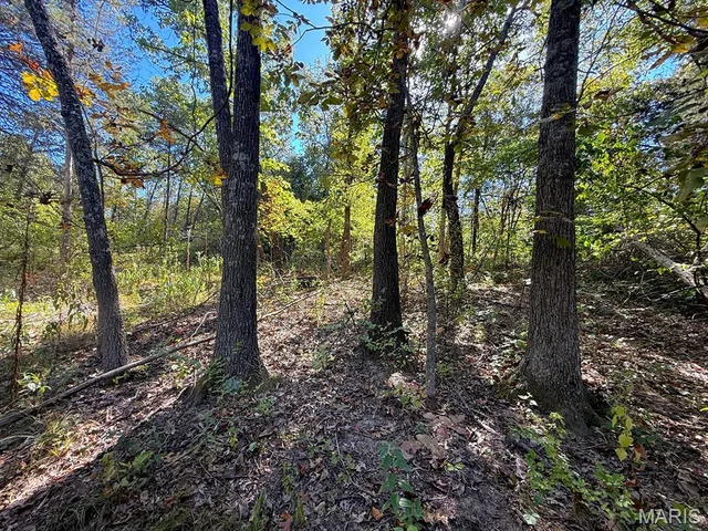 Primary bedroom — 00 Highway Y Road Foley Missouri real estate
