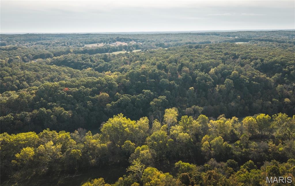 000 Long Spring Tract 2 Steelville Missouri home for sale listed at $999,000