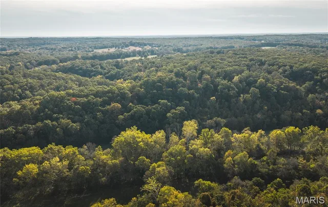 000 Long Spring Tract 2, Steelville MO