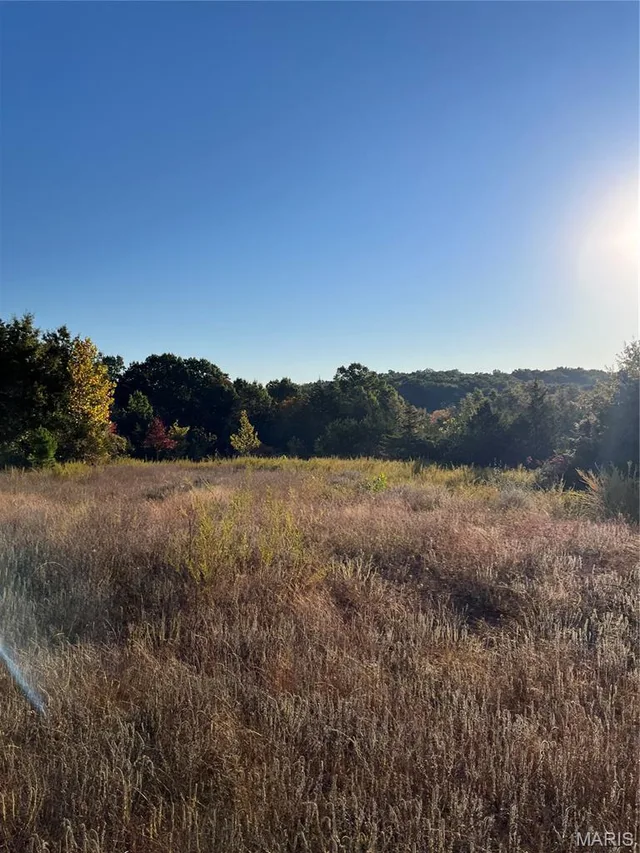 19 Lake Forest Farm Road, Richwoods MO