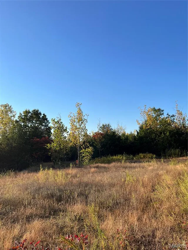 Front exterior — 19 Lake Forest Farm Road Richwoods Missouri real estate