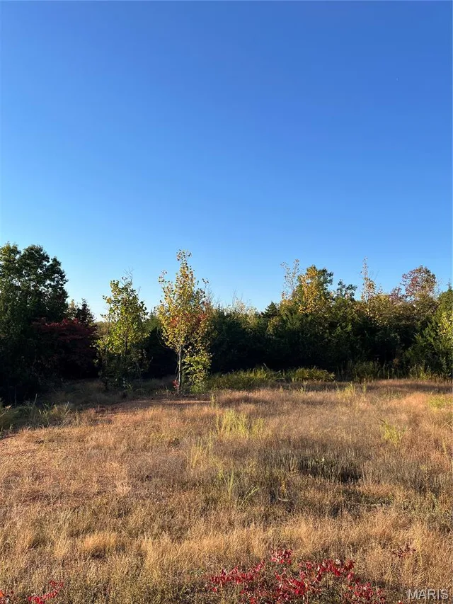 Primary bedroom — 19 Lake Forest Farm Road Richwoods Missouri real estate