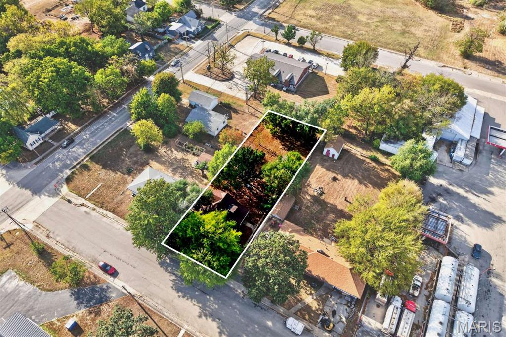 Photo 46