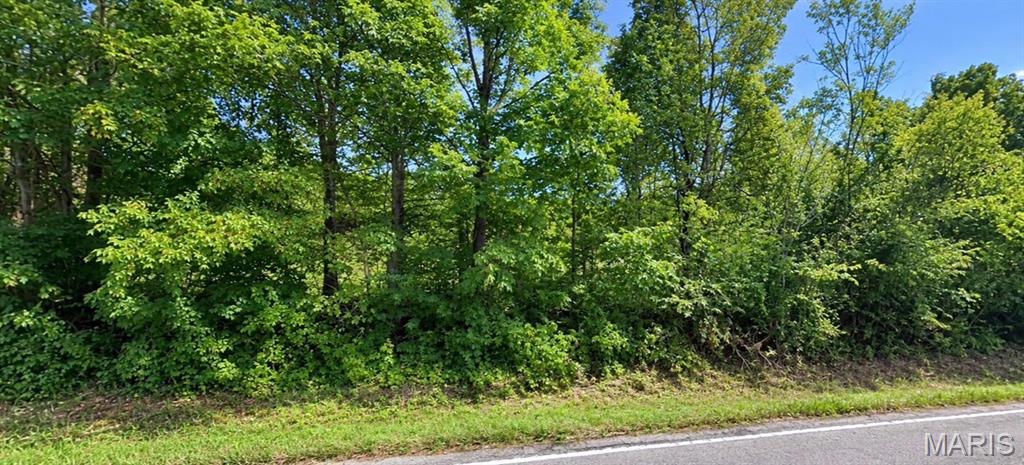 18377 S State Highway 21 Potosi Missouri home for sale listed at $135,000