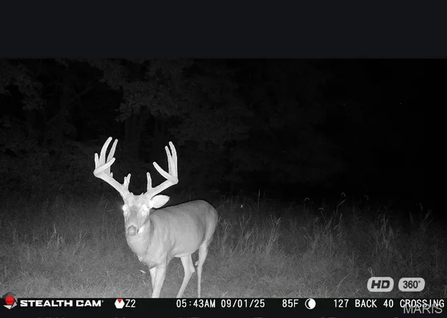 Front exterior — 67 +/- Ac Circle Acres Drive Marthasville Missouri real estate