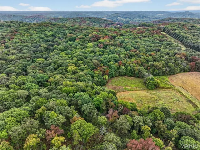 Kitchen — 67 +/- Ac Circle Acres Drive Marthasville Missouri real estate