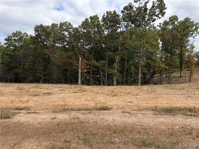 Living room — Lot 4 Top Drive St Robert Missouri real estate