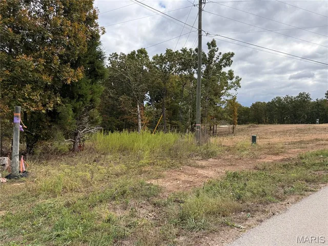 Kitchen — Lot 4 Top Drive St Robert Missouri real estate