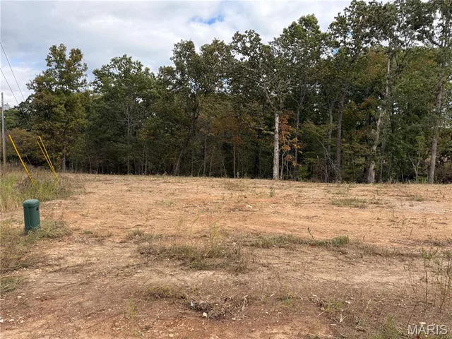 Primary bedroom — Lot 4 Top Drive St Robert Missouri real estate