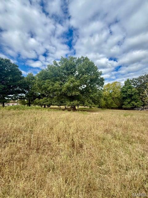Photo 30