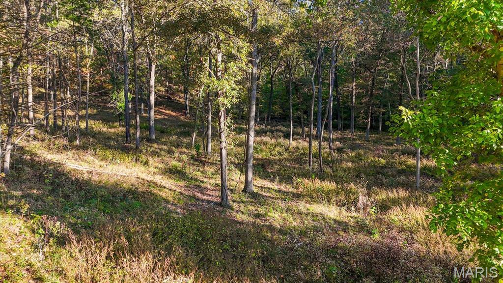 19539 St Albans Road Wildwood Missouri home for sale listed at $550,000