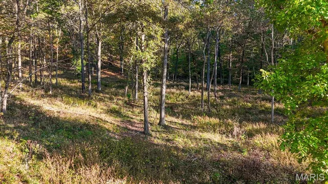 19539 St Albans Road, Wildwood MO